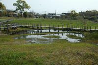 川南湿原の画像