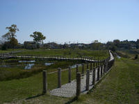 遊歩道
