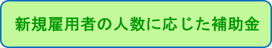 新規雇用者の人数に応じた補助金