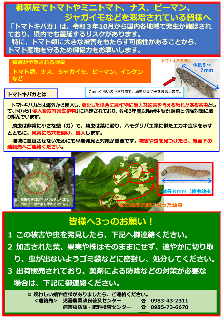 児湯地区トマトキバガ啓発資料1